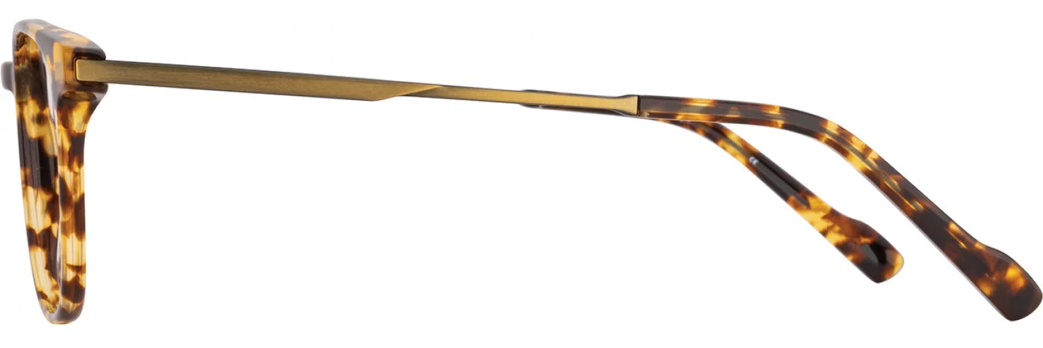 Scott Harris SHX025 Eyeglasses - view 8